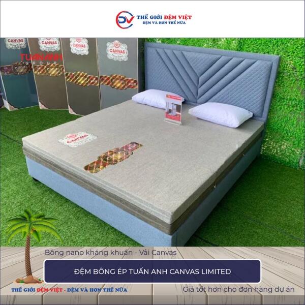 Đệm bông ép Tuấn Anh Canvas Limited 6